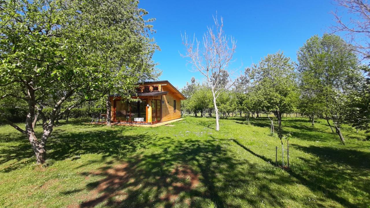Ferienhaus Tiny House Grabovac *