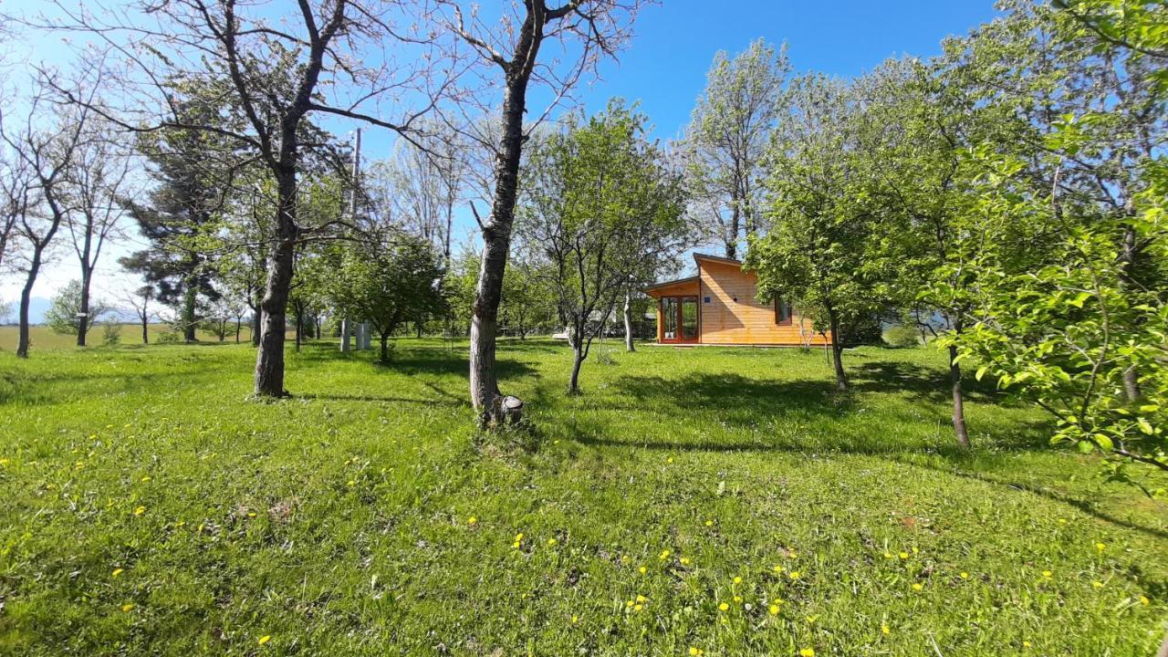 Ferienhaus Tiny House Grabovac *